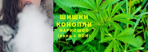 сатива Заволжье