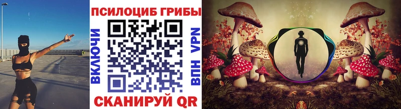 Псилоцибиновые грибы Cubensis  Купить где  Рославль 